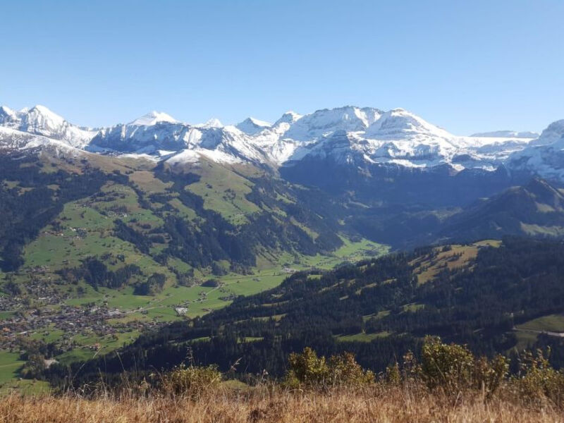 Chalet Flöschhorn