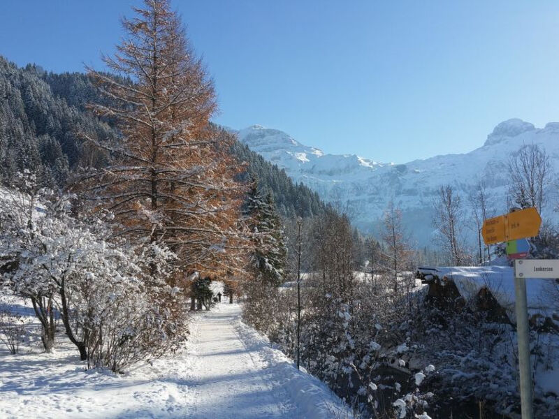 Chalet Flöschhorn