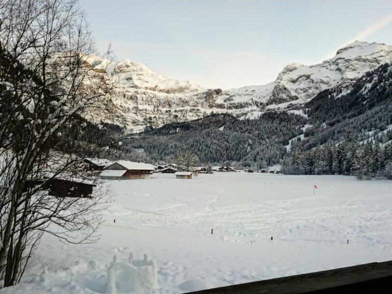 Chalet Lerchweid - 1. Stock links