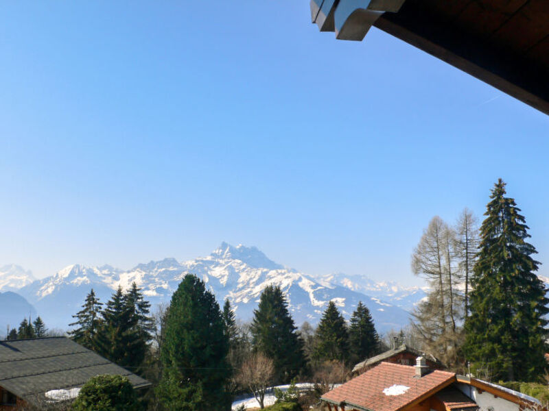 Chalet Merymont