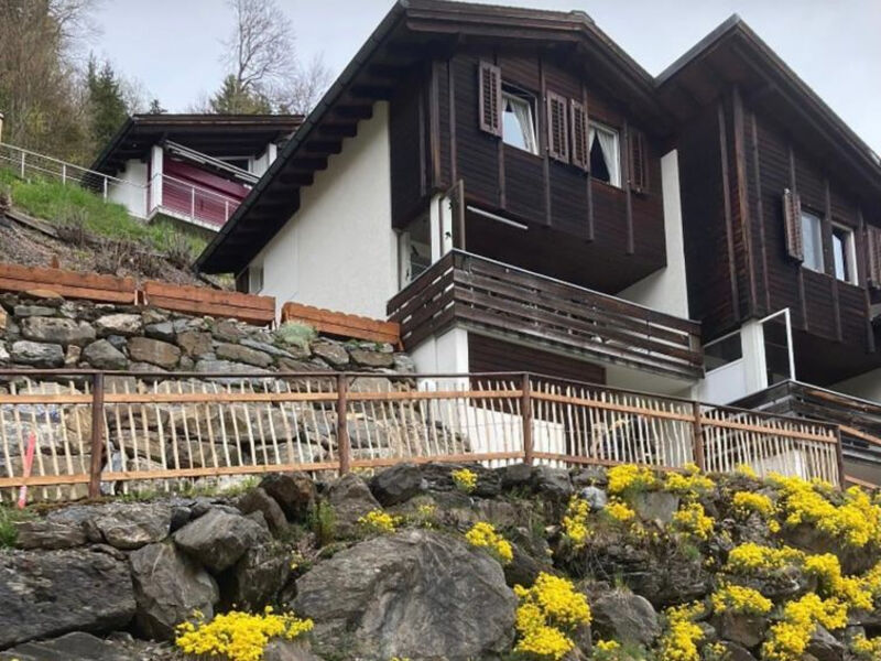 Chalet Murmeli