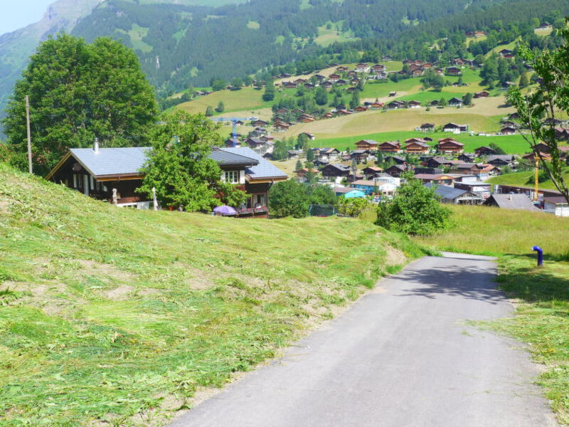 Chalet Nina