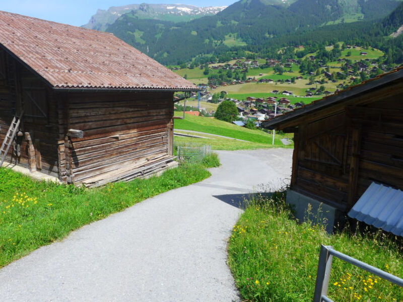 Chalet Nina