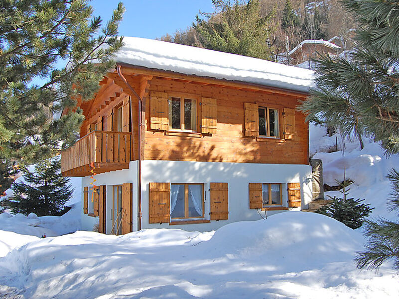 Chalet Picardie