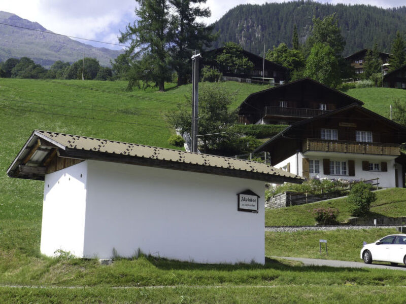 Chalet Reinhysi