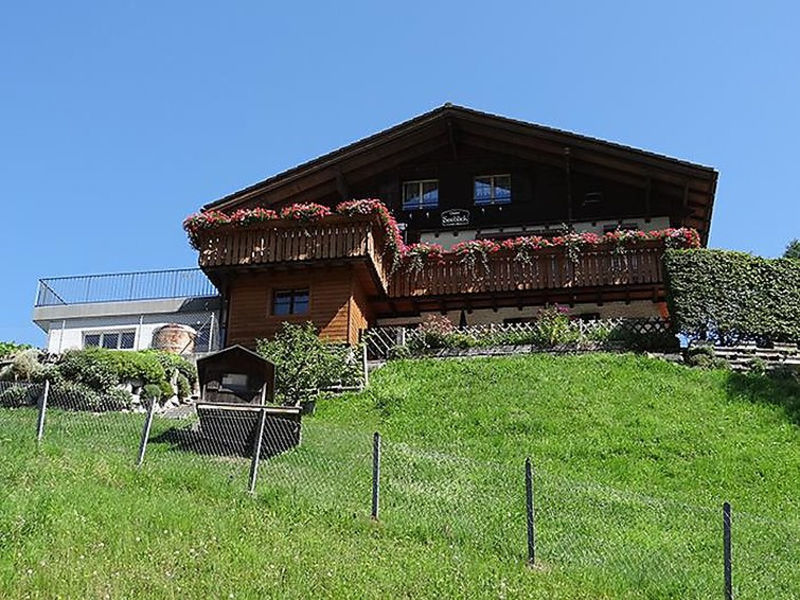 Chalet Seeblick