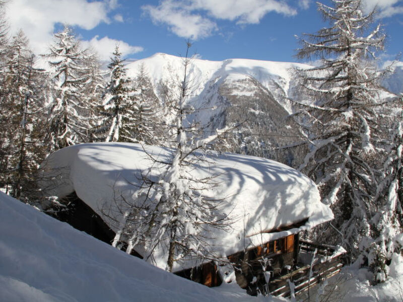 Chalet Soldanella (BEL205)