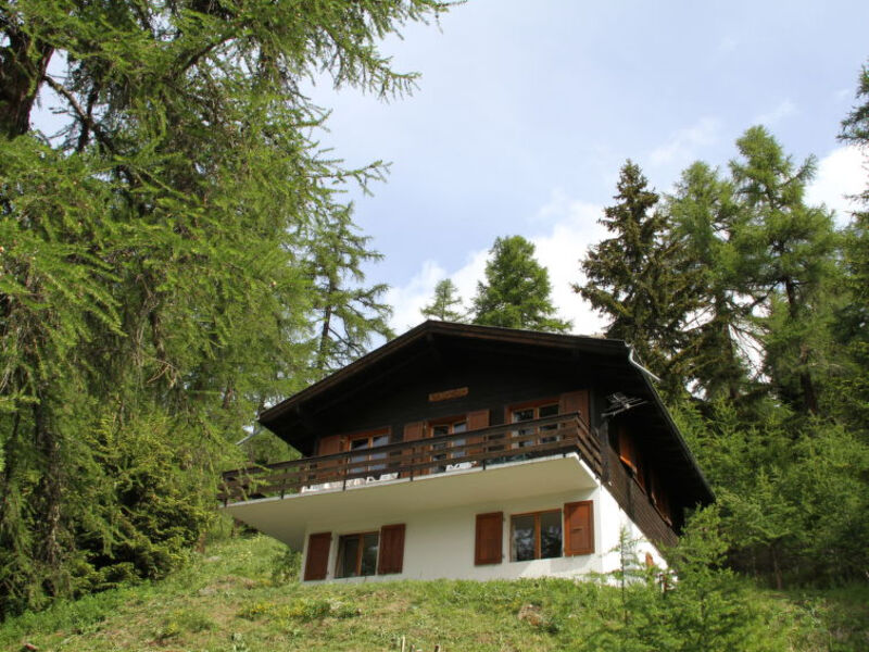 Chalet Soldanella (BEL205)