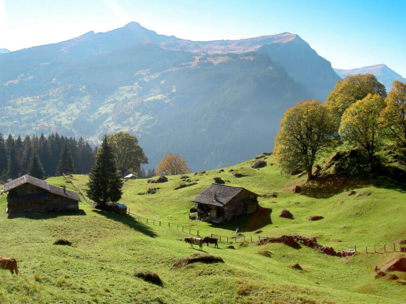 Chalet Tambour (GRL113)