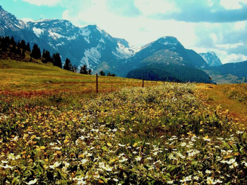 Chalet Weitblick