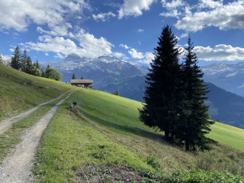 Chalet Weitblick