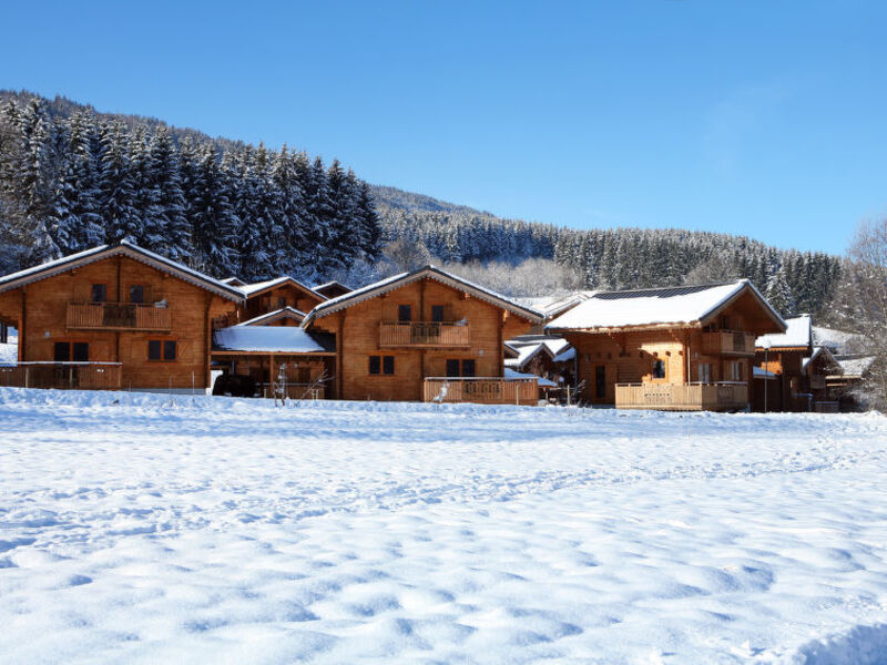 Chalets Bois de Champelle (MRI100)