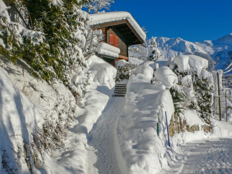 Château Lapin