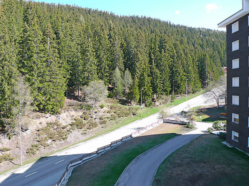 de la Forêt