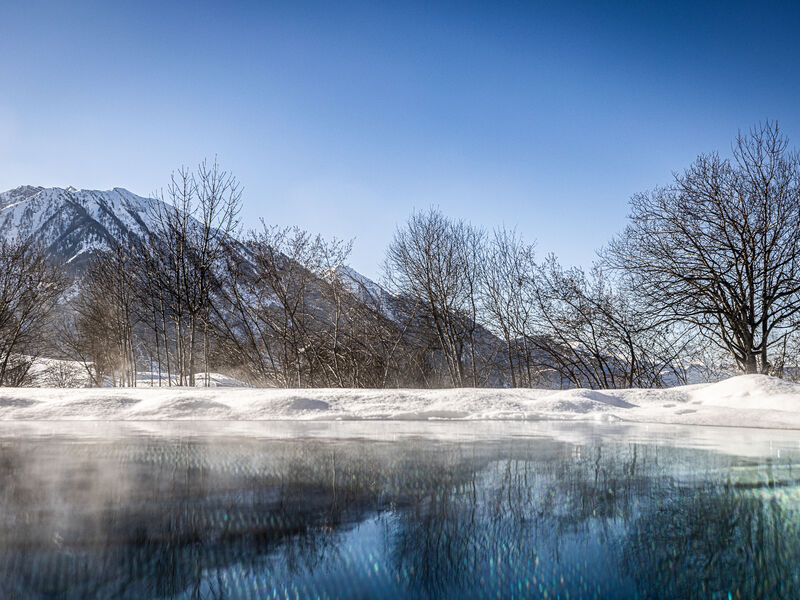 Der Alpenblick