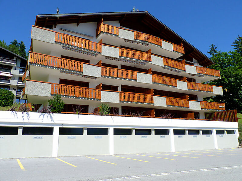Domino B 48