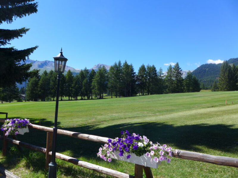 Du Golf