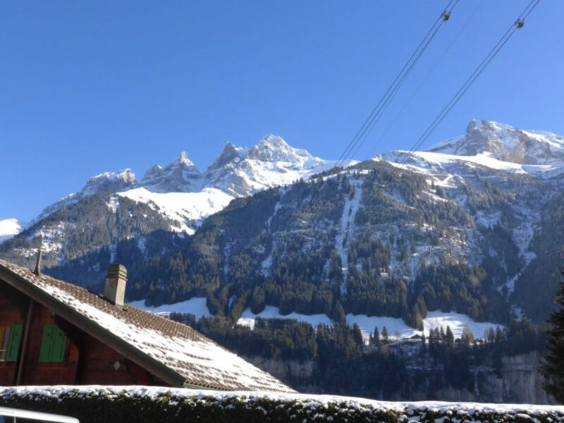 Edelweiss