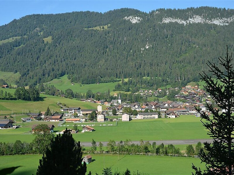 Eichhorn