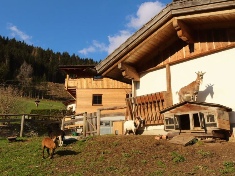 Fallhaus