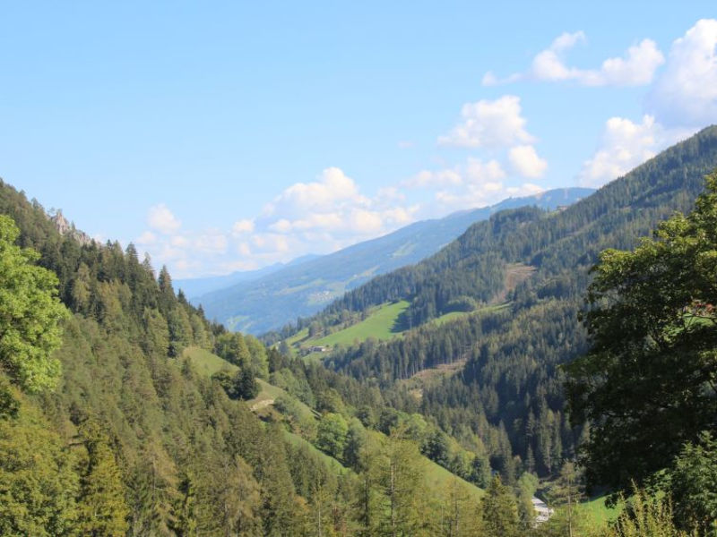 Fallhaus