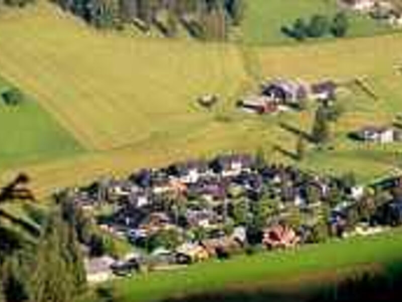 Familienferiendorf Kirchleitn Kleinwild