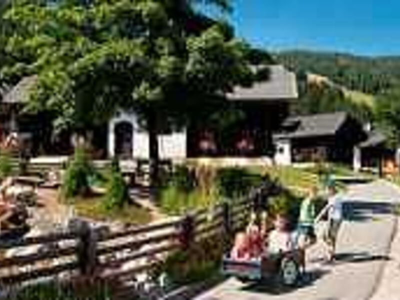 Familienferiendorf Kirchleitn Kleinwild