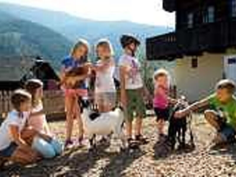 Familienferiendorf Kirchleitn Kleinwild