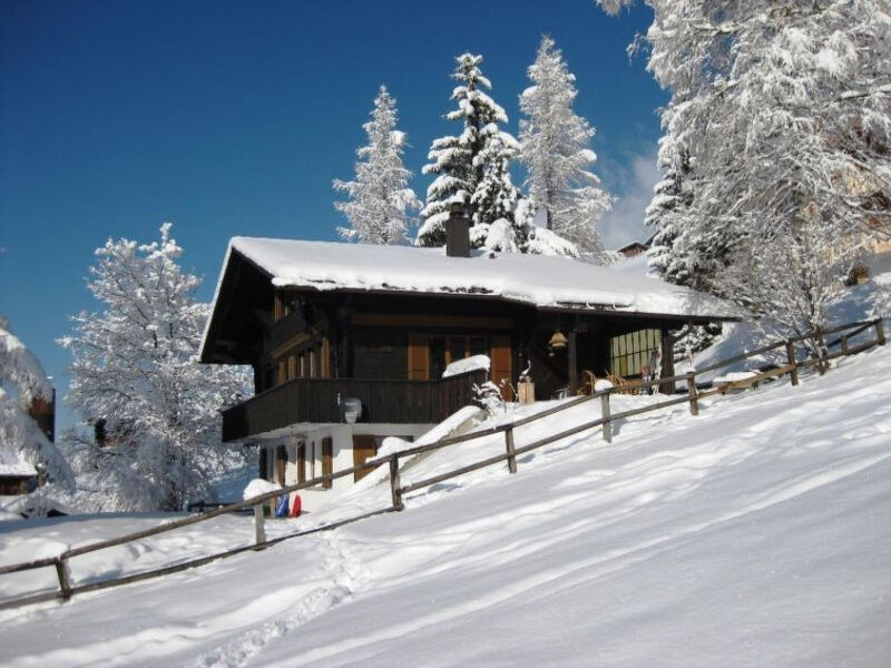 Ferienhaus Datscha