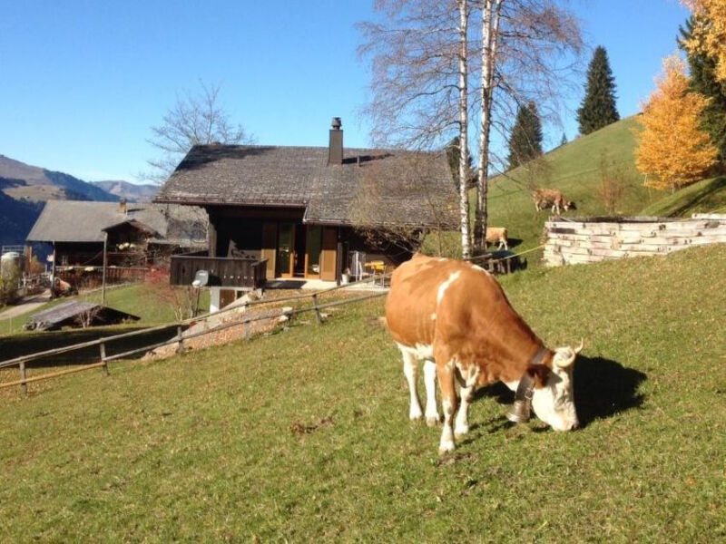 Ferienhaus Datscha