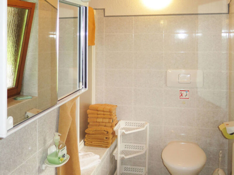 Ferienwohnung Schneider (APH250)