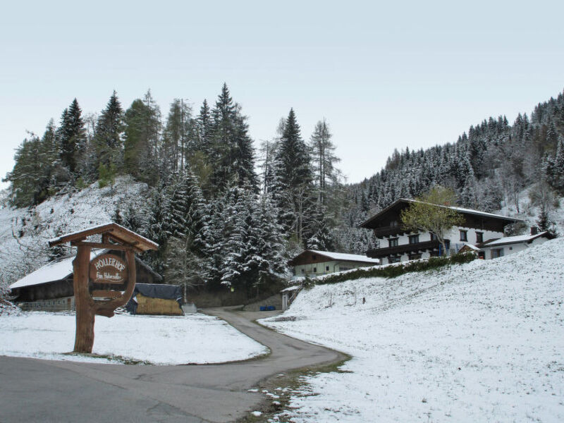 Ferienwohnung Wildblick (RAD120)