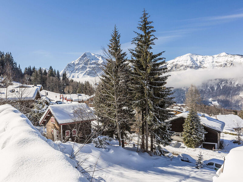 Front de Neige