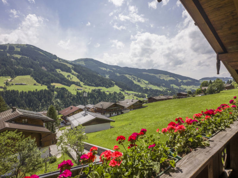 Galtenbergblick