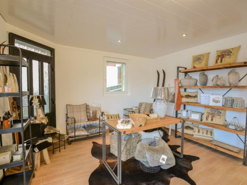 Hohfluh Penthouse