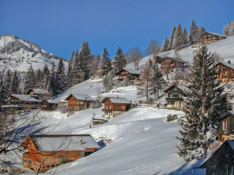 Jungfrau an der Ledi