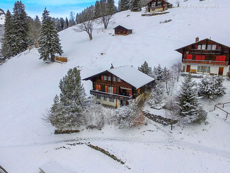 Jungfrau an der Ledi