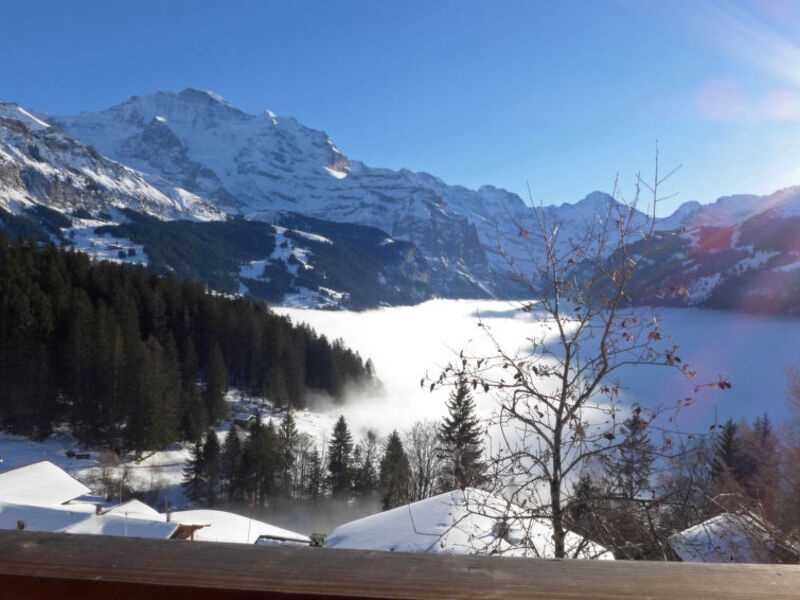 Jungfrau an der Ledi