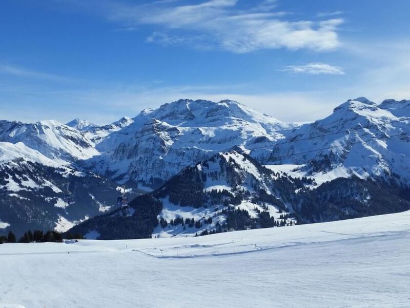 Kronenplatz 7 # 3