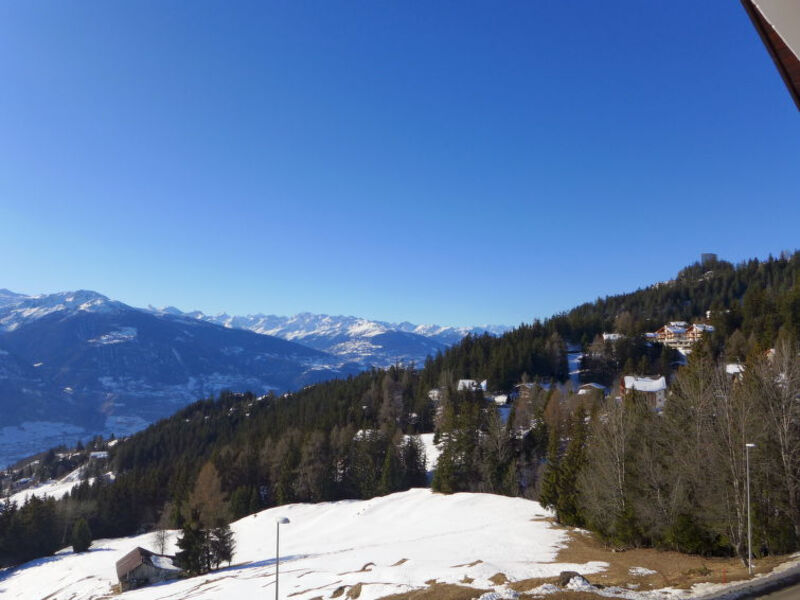La Clairière des Barzettes A/B