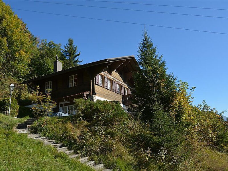 La Ruche, Chalet