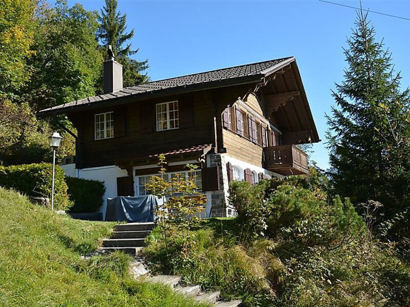 La Ruche, Chalet