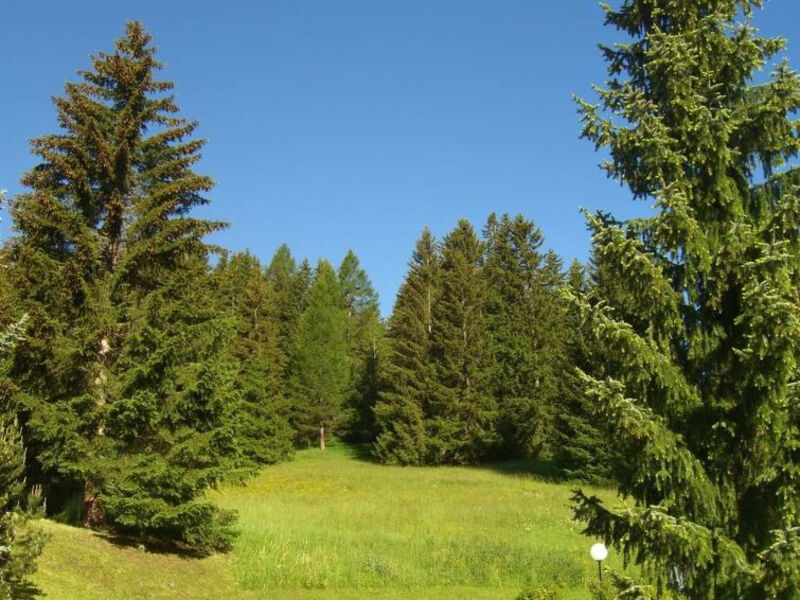 La Schmetta 11