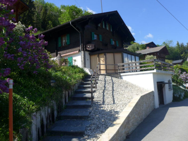 La Soldanelle