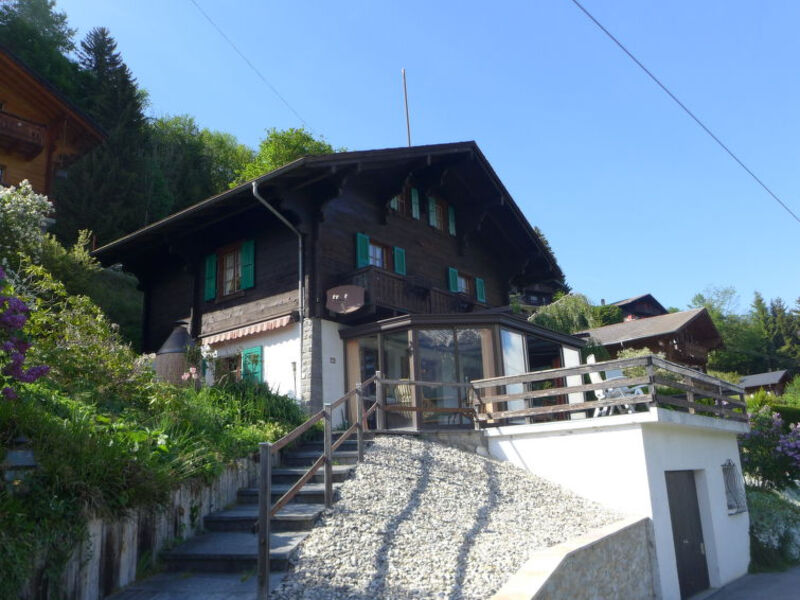 La Soldanelle