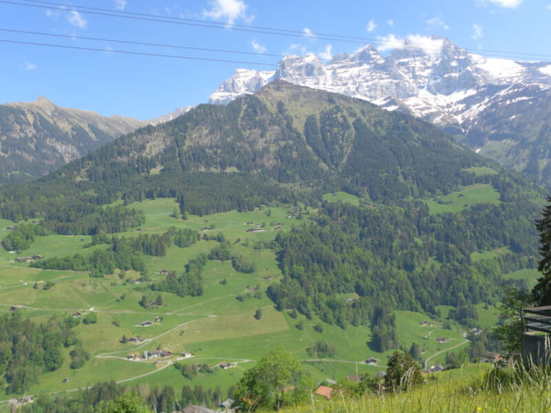 La Soldanelle