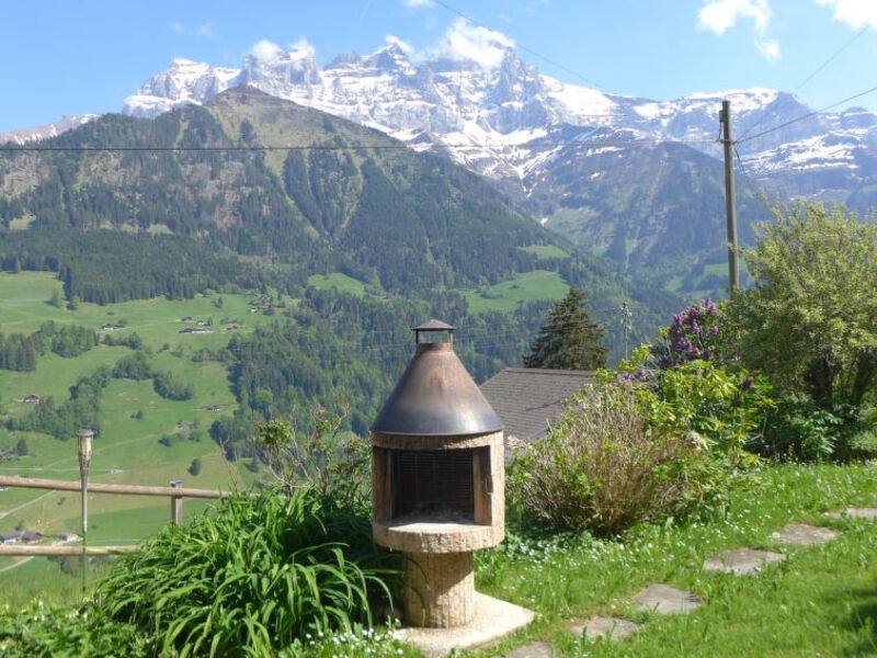La Soldanelle