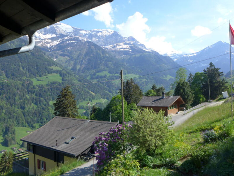La Soldanelle
