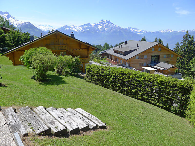 Le Bouquetin 1