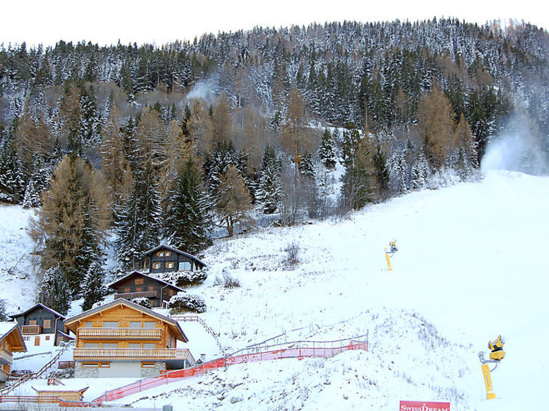 Le Bouquetin